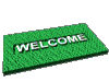 Welcome to the VSAS Website! a mat.gif