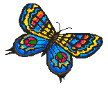 aCAPbutterfly.gif