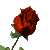aredrosesml.gif