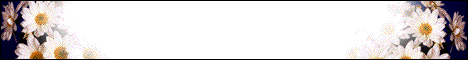 asilencedchildrenbanner.gif