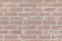 thewall'link.jpg